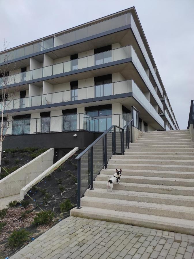 Alexis Apartament Дзівнув Екстер'єр фото