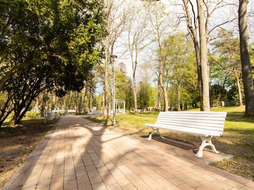 Alexis Apartament Дзівнув Екстер'єр фото
