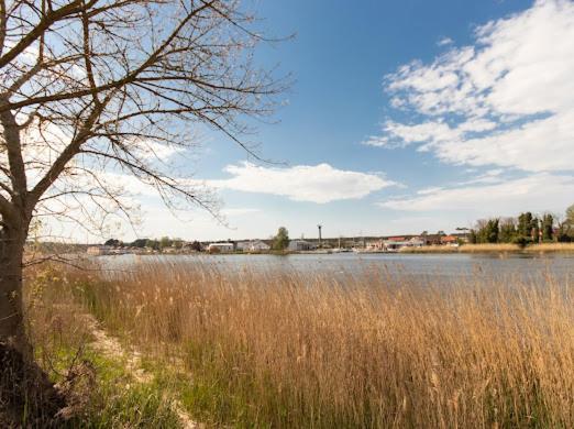 Alexis Apartament Дзівнув Екстер'єр фото